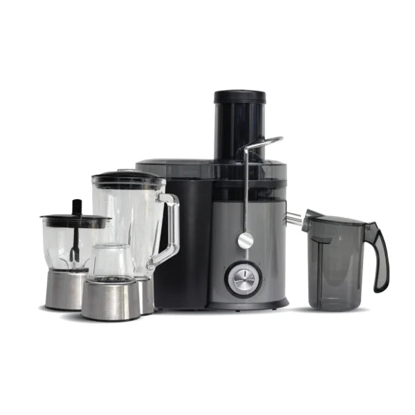 RAYS Blender & Juicer JU-604