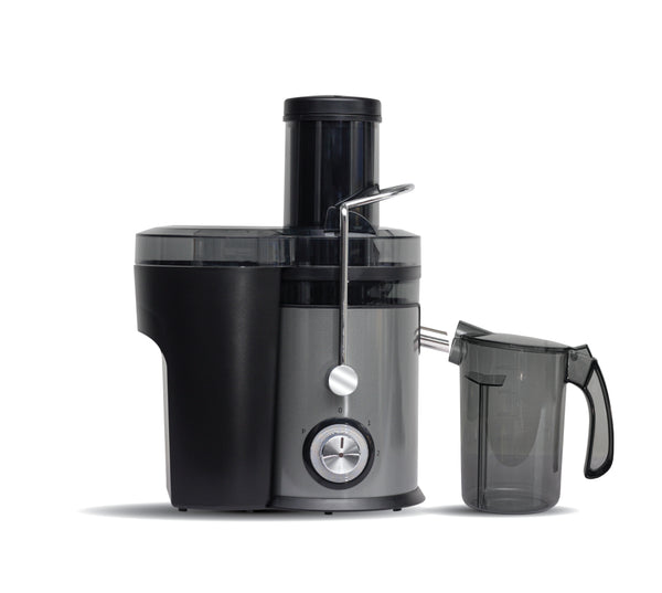 RAYS Juicer JU-600